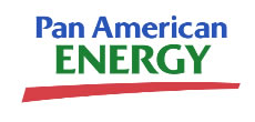 pan_american client-image