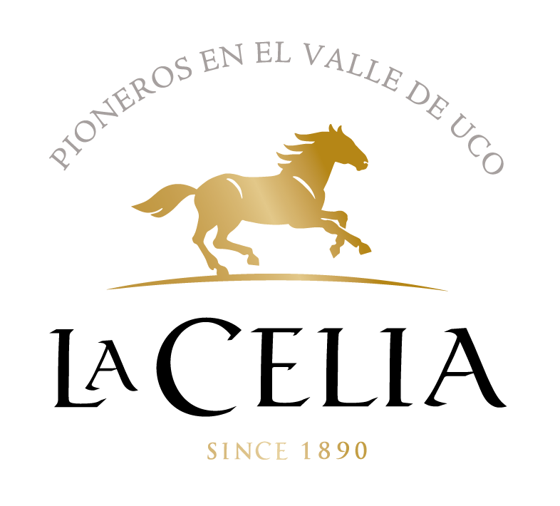 LA CELIA client-image